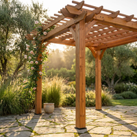10 Ft. X 10 Ft. Traditional All Cedar Wood Outdoor Patio Pergola Shade Structure — Studio Shot